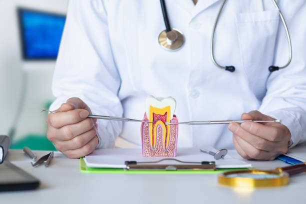 Best Emergency Dentist for Knocked-Out Tooth in Montesano, WA